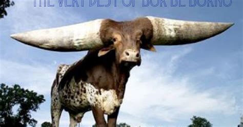 Blog Do Bar O Foi Ver Filme Porn E Descobriu Que Era Corno Virtual