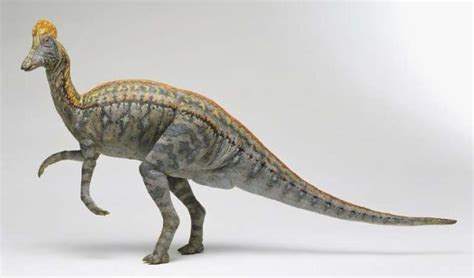 Corythosaurus Pictures & Facts - The Dinosaur Database