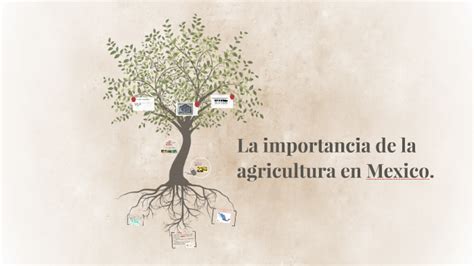 La Importancia De La Agricultura En Mexico By Rodolfo Lugo On Prezi