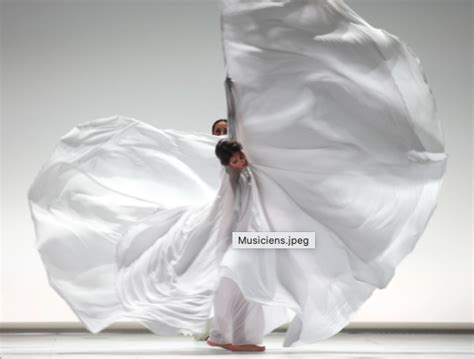 El maleficio de la mariposa Ballet Flamenco de Andalucía Santander