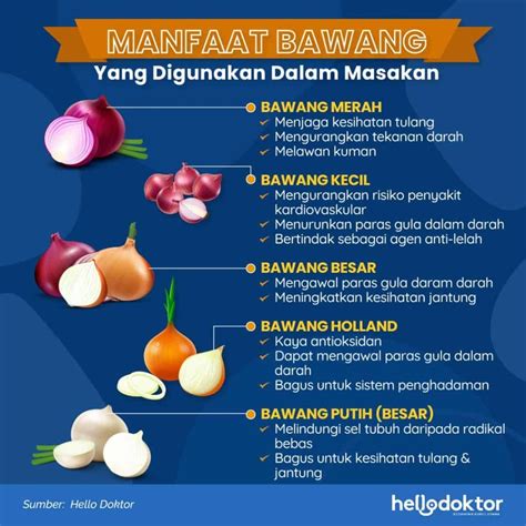 Khasiat Bawang Putih Dan Madu Untuk Lelaki Madeleine Macleod