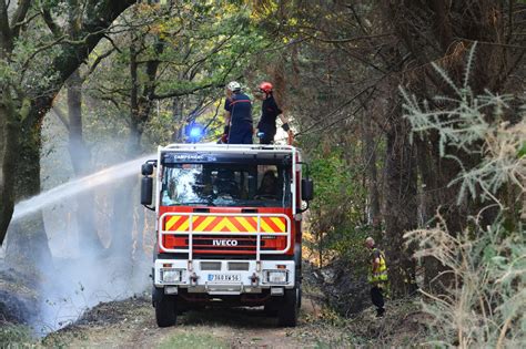 Incendie En Forêt De Brocéliande Le Feu Progresse Un Dash Vient En