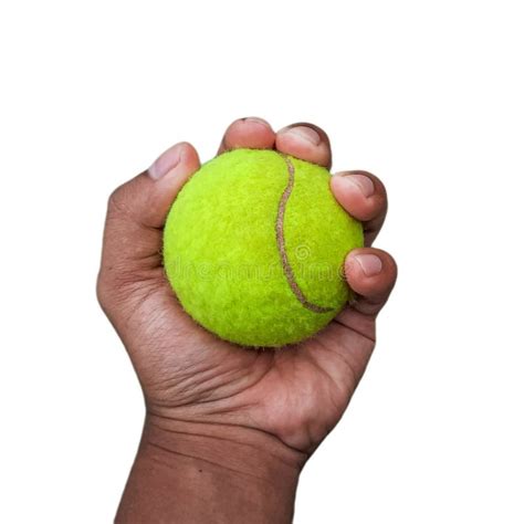 Male Hand Holding Tennis Ball Isolated On White Stock Photo Image Of