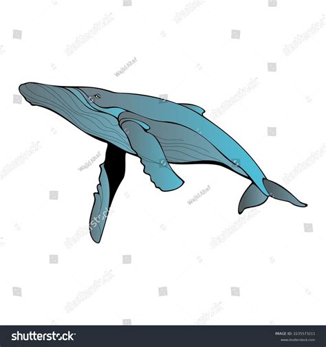 Whale Clipart Vector Image Stock Vector (Royalty Free) 2235573211 ...