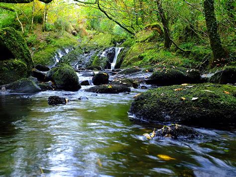 Hier wandern wir: Glengarriff Nature Reserve