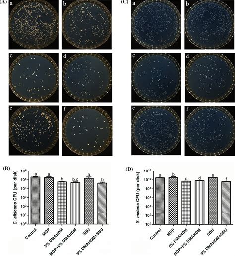 Colony Forming Unit Cfu Of 2 Day Single Species Biofilms On Composite Download Scientific