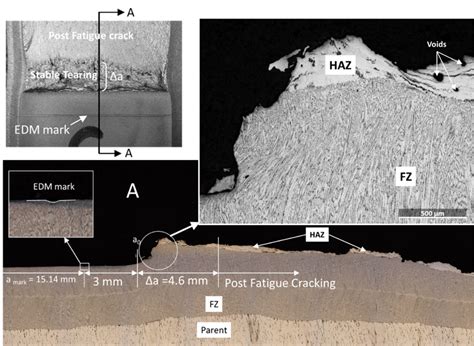 Metallography Examination Of The Fracture Surface Of Fz Sample Part A