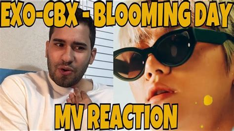 EXO CBX 첸백시 Blooming Day 花요일 MV Reaction AESTHETIC SNACCS YouTube