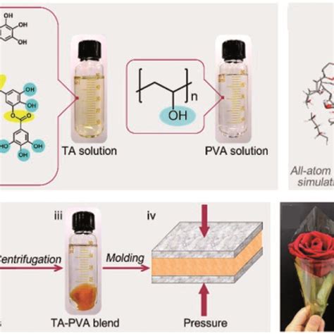 Schematic Illustration Of The Preparation Process Of Ta Pva Composites