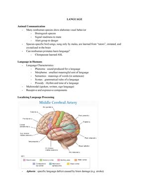 Psych Week Slide Notes Introduction To Neuroscience What Is