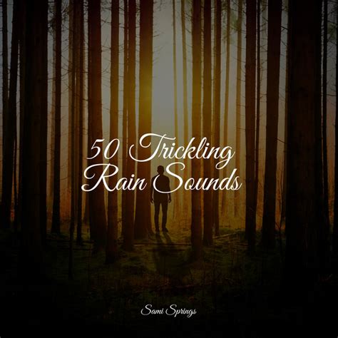 50 Trickling Rain Sounds Album By Relajación Spotify