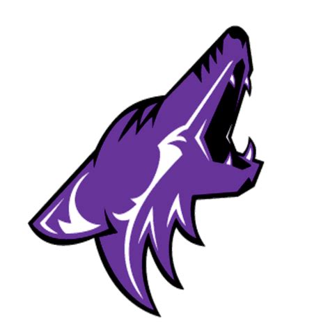 Volleyball Recap: Anna Gets the Win