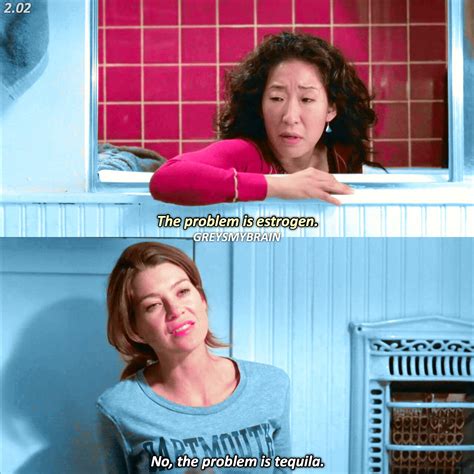 Cristina Yang Cookie Quotes
