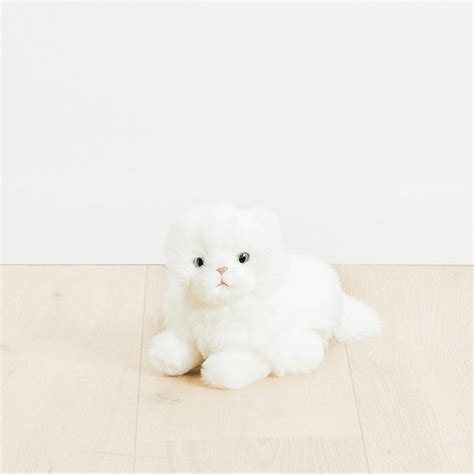 Realistic Stuffed Cat - Etsy