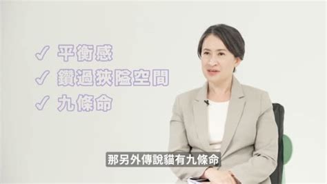 蕭美琴推全新節目談愛貓經 自稱戰貓對抗戰狼