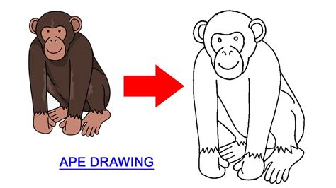 How To Draw Ape Drawing For Kids Easy Outline Easy Ape Drawing For