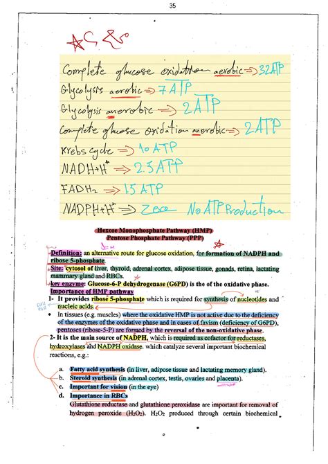 SOLUTION Carbohydrates Metabolism Explanation With Pictures Faculty Of