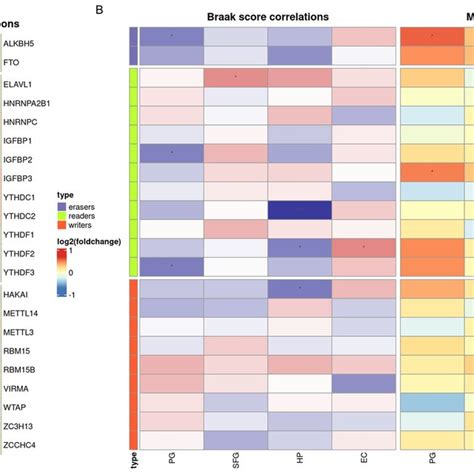 Identification Of AD Related Regulators A Heatmap Of M6A Regulator