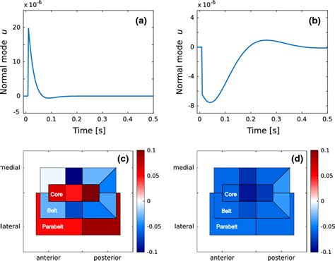 mapping normal modes  anatomical structure