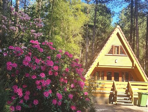 weybourne forest lodges visit east  england