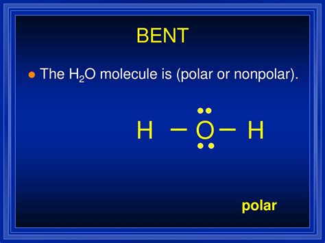 Polarity Ppt Download