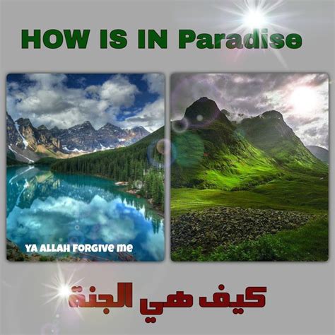 Islam: HOW IS IN PARADISE | Paradise, Islam, Greatful