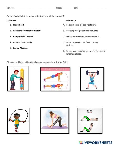 Componentes De La Aptitud Fisica Worksheet