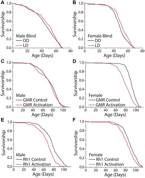 Light Modulates Drosophila Lifespan Via Perceptual Systems Independent