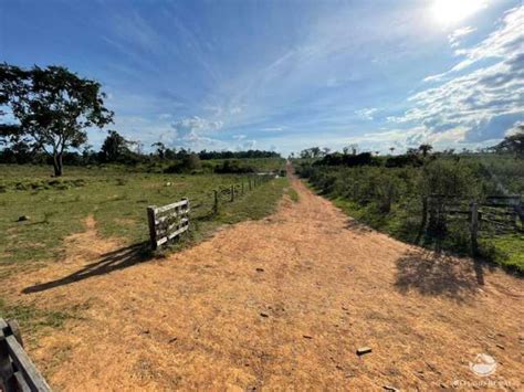 Fazenda Sala No Centro Nova Can A Do Norte Mt Id