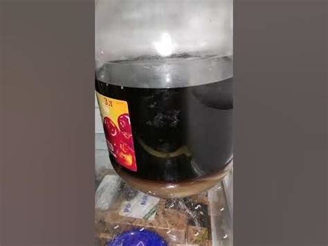 алхимия вкуса, егермейстер, егермастер и тд, полная лажа, второй видос ...