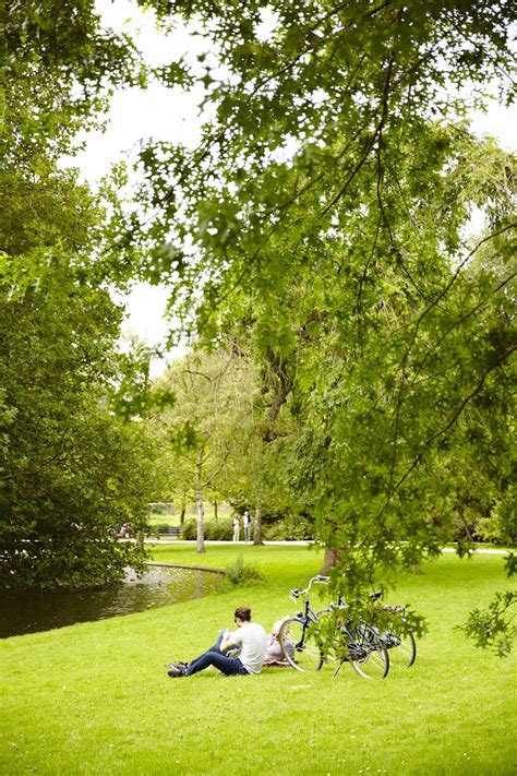 Best parks in Amsterdam - Lonely Planet