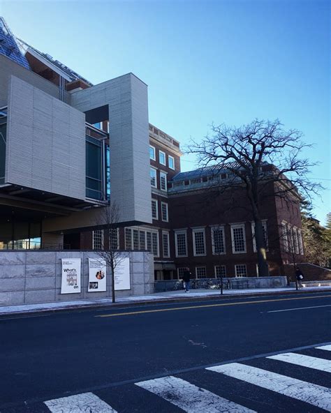 Harvard Art Museums » The Muse Life