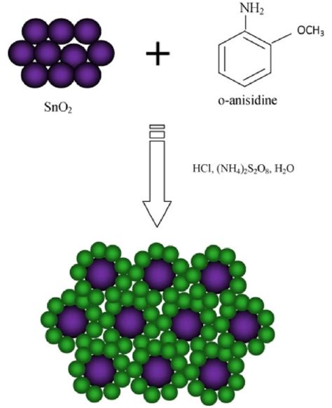 Synthesis Of Poly O Anisidine Sno Nanocomposites Reproduced From