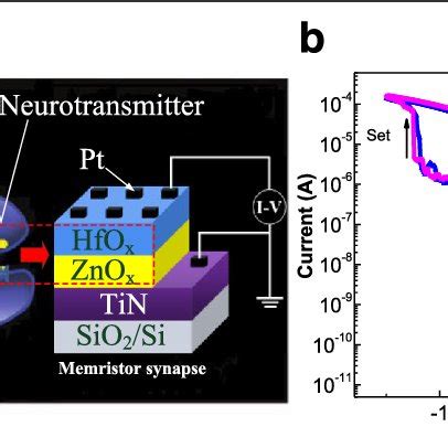 Schematic Of The Memristor Device Of Pt Hfo X Zno X Tin And Its I V