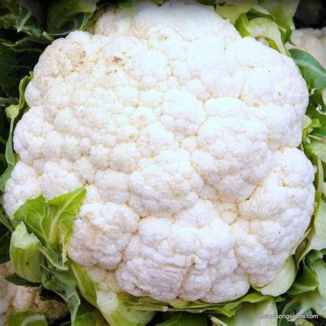 Cauliflower Snowball Y Improved Heirloom Seeds The Amazing Seeds