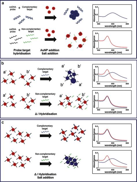 Gold Nano Particle Based Colorimetric Detection Assay Format Hot Sex