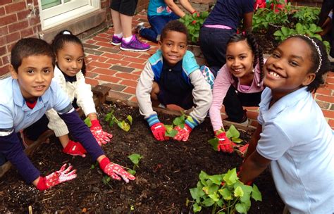 New ‘School Garden Guide’ Released to Support Garden-based Learning for ...