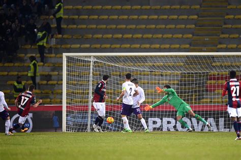 Bologna Fiorentina Giaccherini Risponde A Bernardeschi