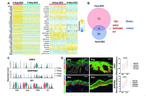 Identification Of The Differentially Expressed Genes DEGs In The