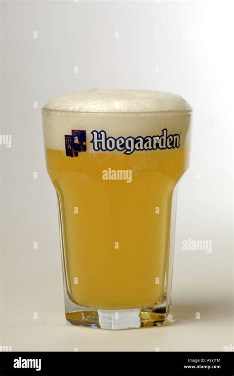 Glass Of Hoegaarden Witbier Belgium Stock Photo Alamy