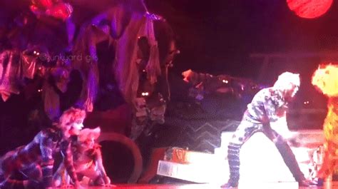 Cats Gifs And Stills Jerrie And Jelly Say FUCK OFF MATE Macavity Says