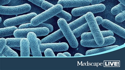 Great Expectations Examining The Burden And Management Of Extraintestinal Pathogenic