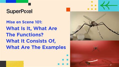 Mise en Scene 101: What Is It, The Elements, and Examples - Superpixel