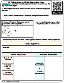 AP Biology Intro To Cellular Respiration Video Notes By Hey Now Science