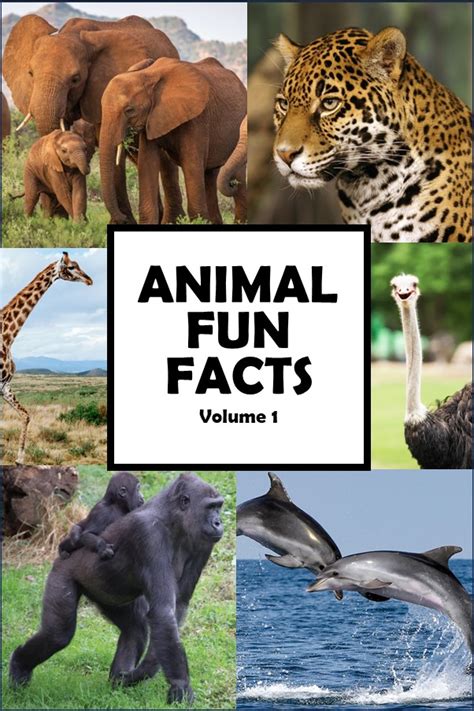 Animal Fun Facts - Mental Bomb