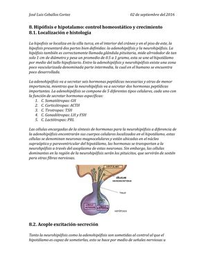 Resumen Tiroides Olvera Diana Tiroides Localizaci N E Histolog A