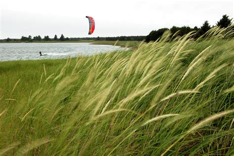 Grass Blowing In The Wind Motion Blur Photograph By Trevor Clark Pixels