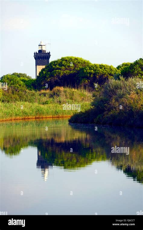 Pond Of Espiguette And Lighthouse Phare De L Espiguette France Gard