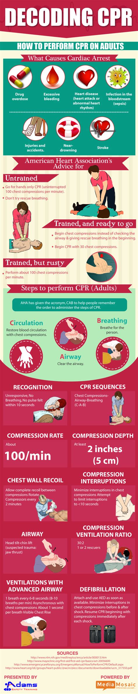 How to Perform CPR on Adults [Infographic]