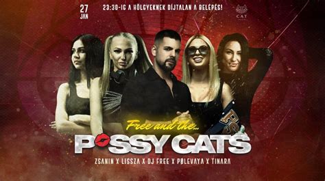 Pussy Cats Cat Budapest 27 January XpatLoop